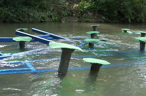 Helga Kellerer - Projekte - Kunst in Stuttgart